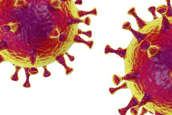 Bild Coronavirus